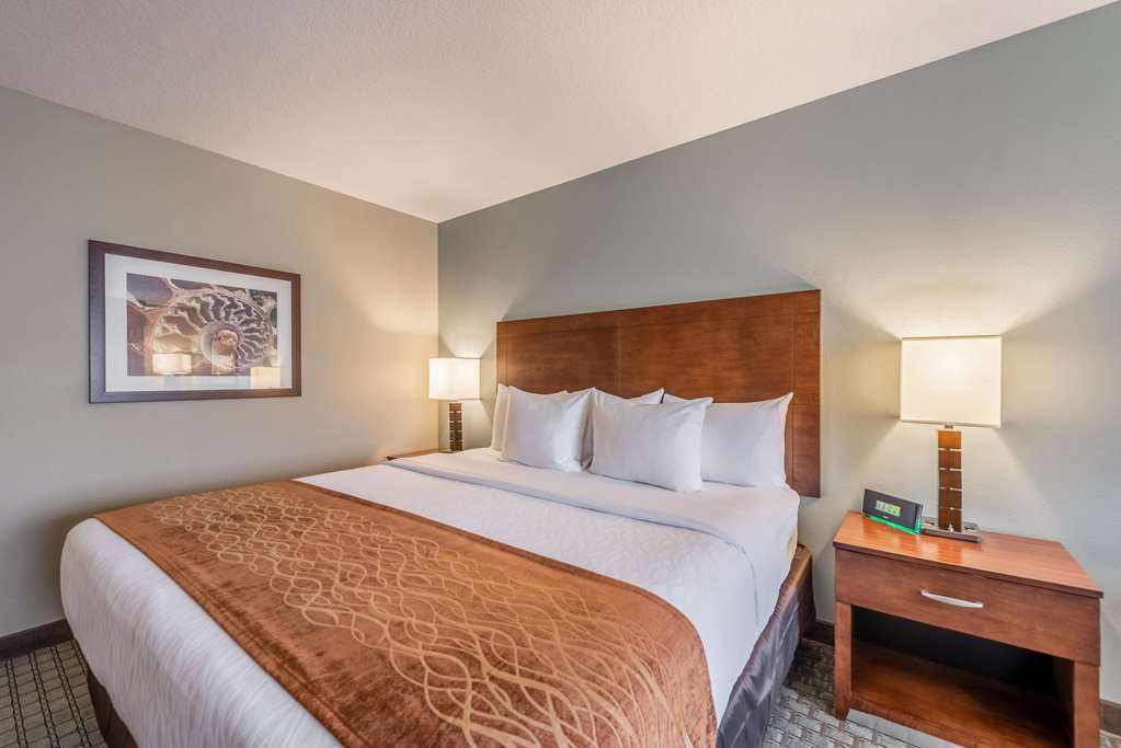 Comfort Inn & Suites - Chisago City Room photo